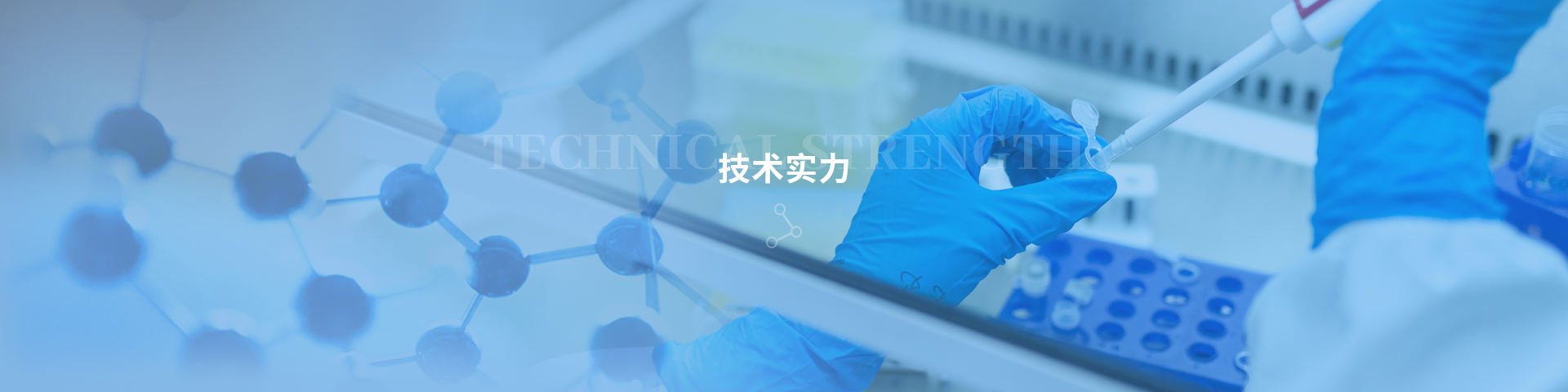 技术实力