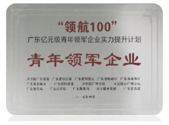 青年领军企业